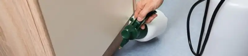 Bed bug exterminator treating baseboards and cracks with targeted spray in Tucson, AZ