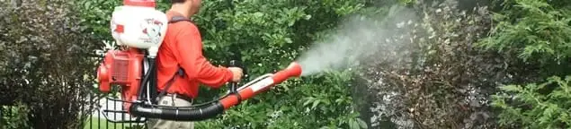 Mosquito control technician fogging shrubs and landscaping for mosquito treatment in Tucson, AZ
