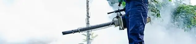 Pest control technician fogging an outdoor area for insect control in Tucson, AZ