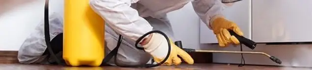 Roach exterminator treating cracks and crevices along kitchen baseboards in Tucson, AZ