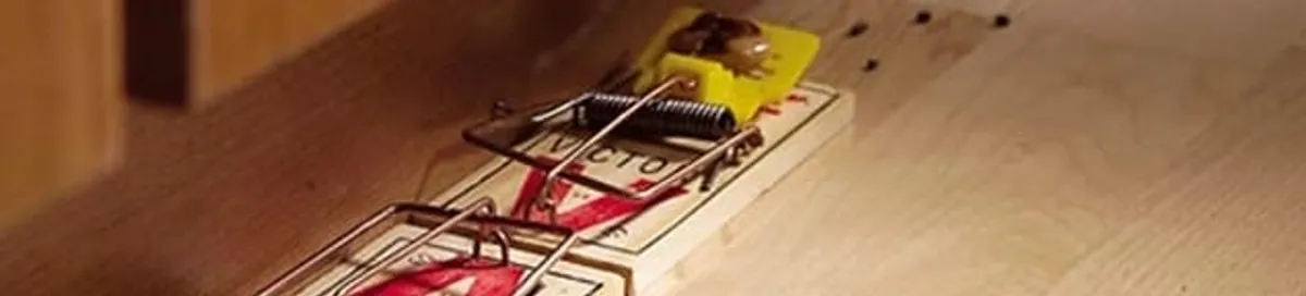 Rodent trap set indoors for rodent control and prevention in Tucson, AZ