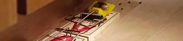 Rodent trap set indoors for rodent control and prevention in Tucson, AZ